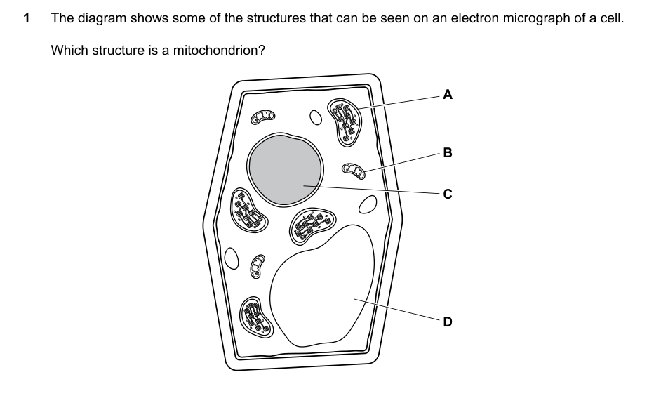 Diagram for O Level Combined Science question on Cells & cell structure