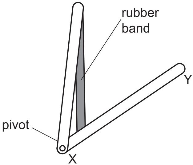 Model human arm with rubber band 2 cm from pivot and 4 N mass at 16 cm