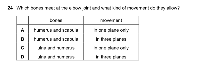 Diagram for bio_5090_2018_mj_11_q24