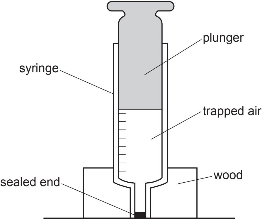 Sealed syringe mounted vertically containing trapped air
