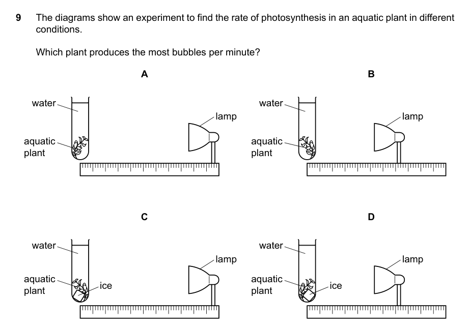 Diagram for bio_5090_2023_sp_01_q09